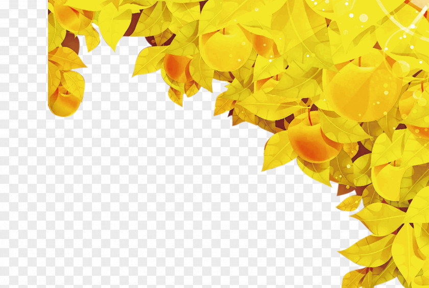 Yellow Leaves Autumn Leaf Color PNG