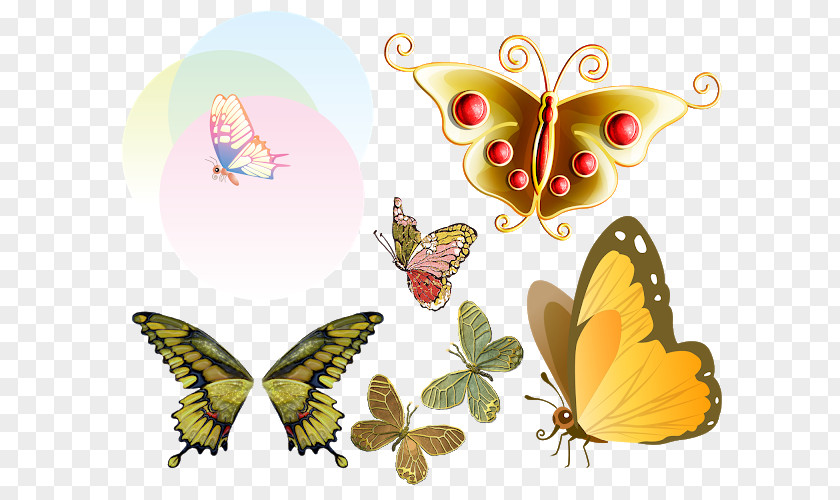 Butterfly Monarch Clip Art Desktop Wallpaper PNG