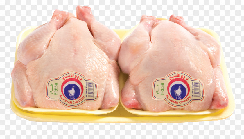 Chicken Meat Business Poultry PNG