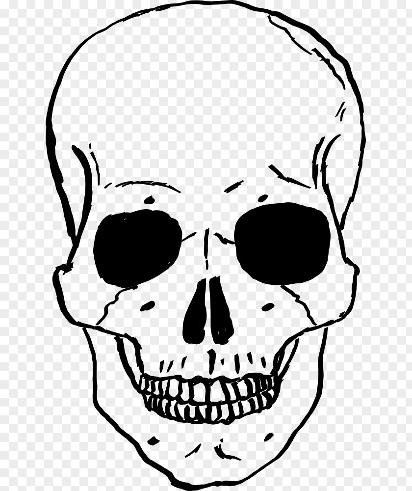 Skull Clipart Human Skeleton Drawing Clip Art PNG