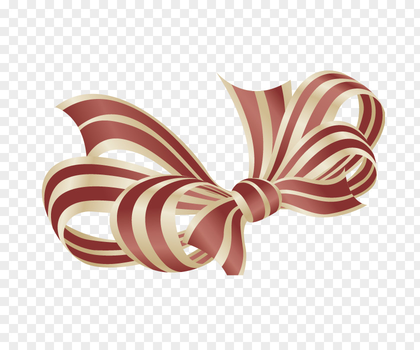 Vector Decorative Bow Shoelace Knot PNG