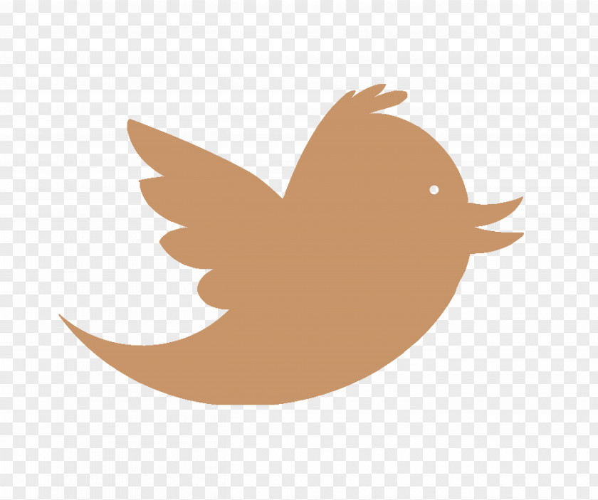 Bird Logo Business PNG