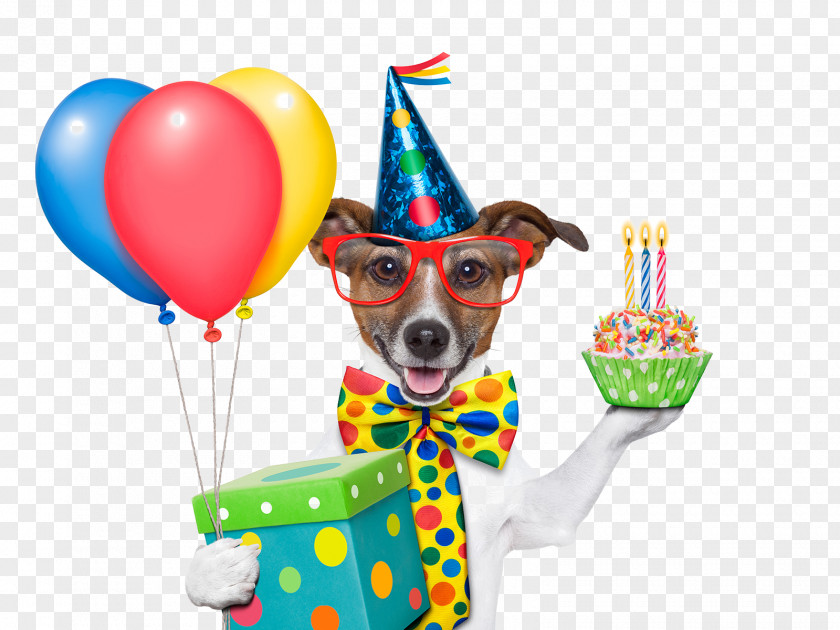 Birthday Dog Wedding Invitation Cake Greeting Card Wish PNG