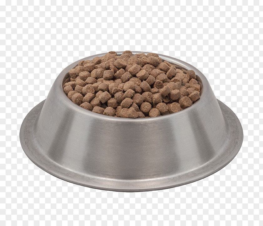 Cat Bowl Food Dog Kitten PNG