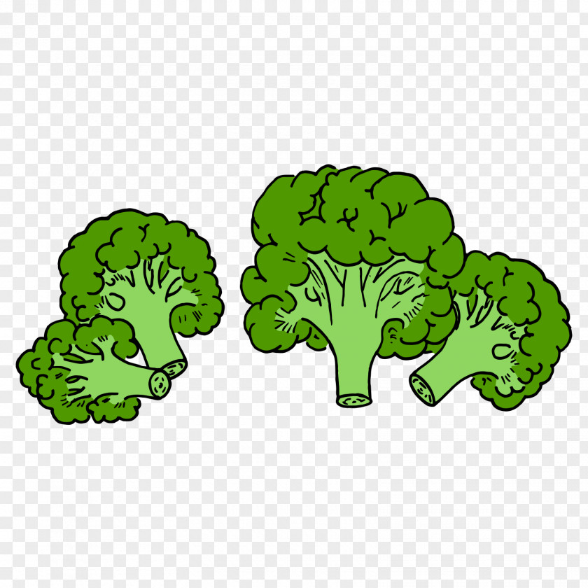 Green Cauliflower Broccoli Vegetable PNG