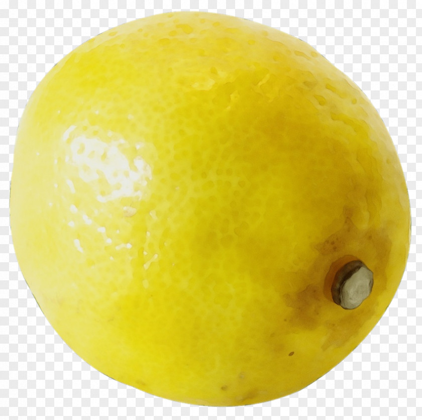 Lemon Dog Citric Acid Product Market PNG