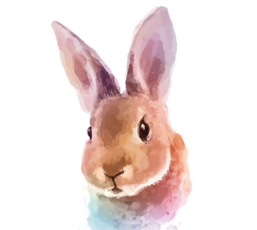 Rabbit White Watercolor Painting Royalty-free PNG
