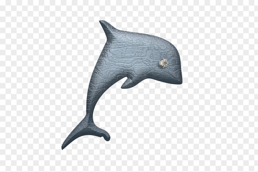 SCUBA DIVING Common Bottlenose Dolphin Cat Felidae Animal PNG