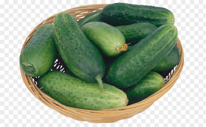 Cucumber Pickled Vegetable Half Sour Pickles Pepo PNG