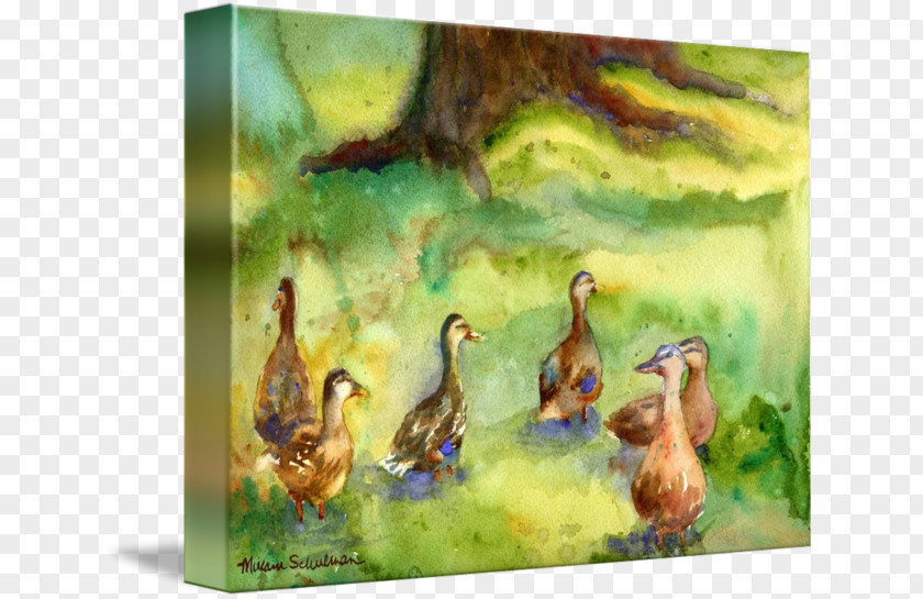 Watercolor Animals Donald Duck Oil Painting Reproduction Goose PNG