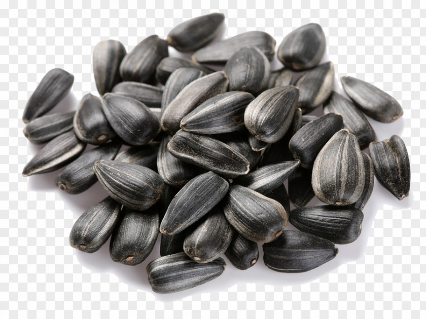 Common Sunflower Seed Food PNG