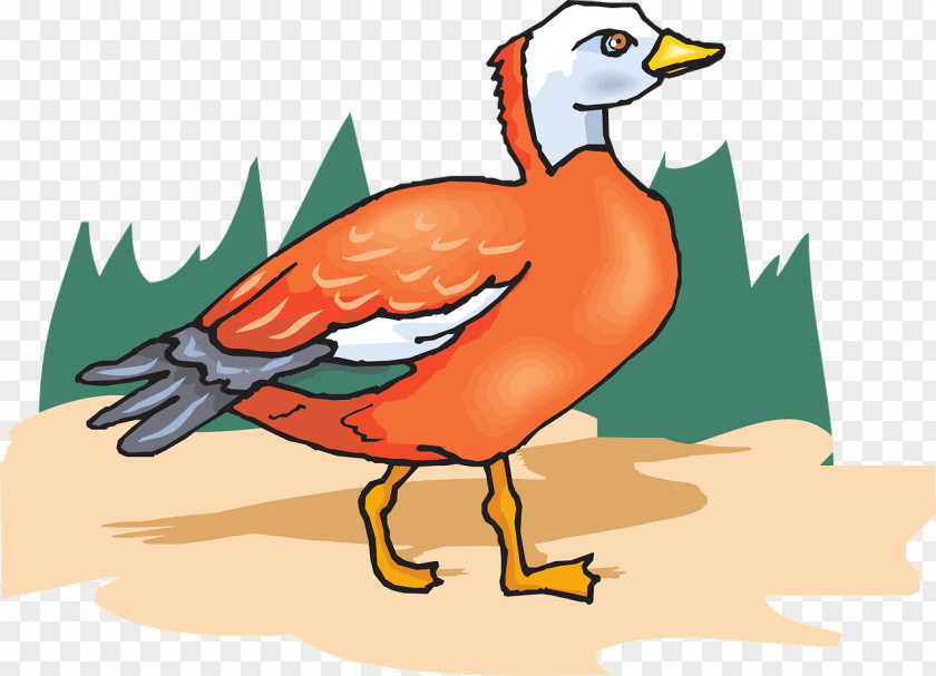 Duck Bird Clip Art PNG