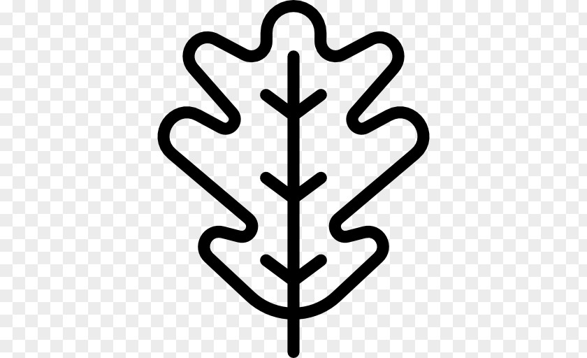 Leaf Clip Art PNG