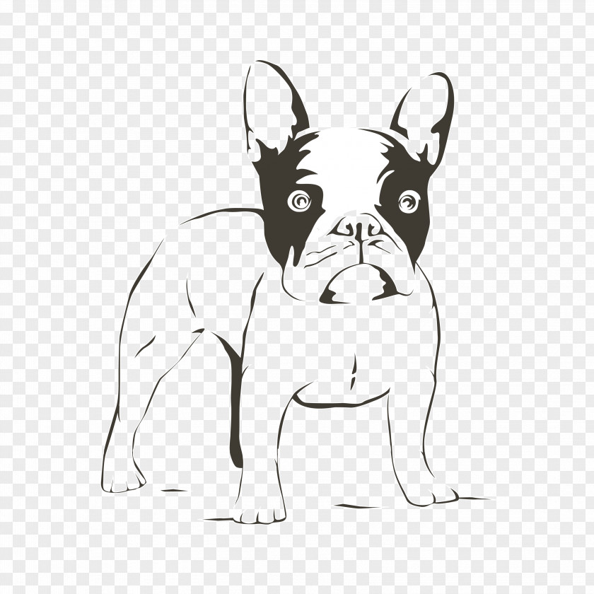 Puppy French Bulldog Boston Terrier Standard Schnauzer PNG