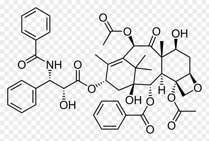 Taxus Paclitaxel Total Synthesis Cancer Chemotherapy Structure PNG