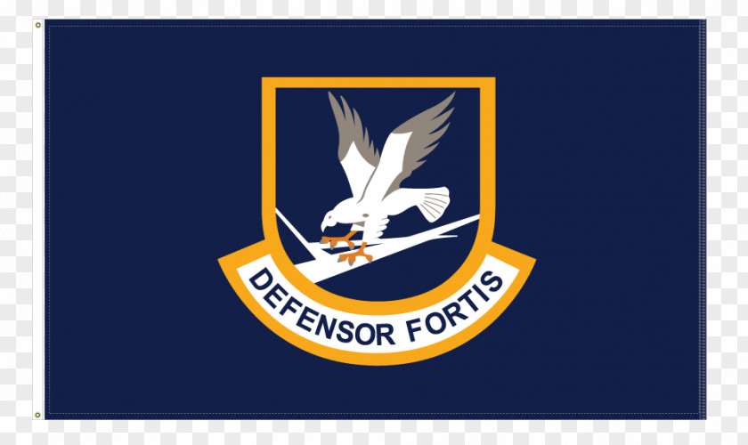 United States Air Force Security Forces Military PNG