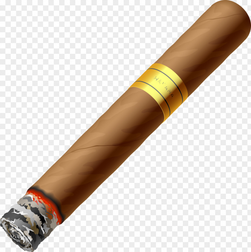 Vector Burning Cartoon Cigar Cigarette Tobacco PNG