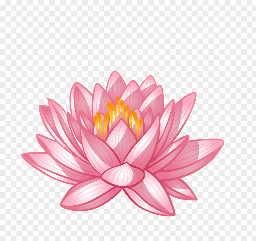 Vector Pink Chinese Flower Lotus Poster Spa Royalty-free PNG