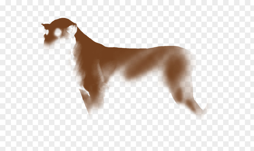Lion Gold Dog Breed Italian Greyhound Saluki Felidae PNG