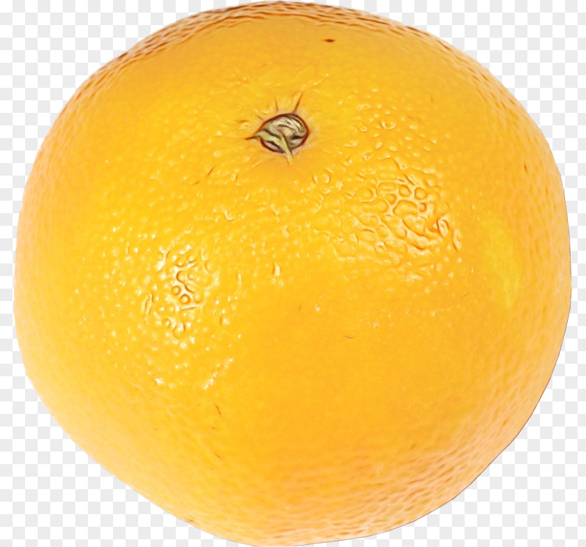 Meyer Lemon Mandarin Orange PNG