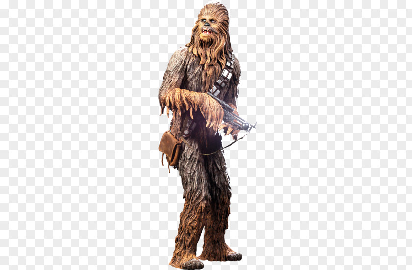 United Kingdom Chewbacca Sideshow Collectibles Star Wars Costume PNG