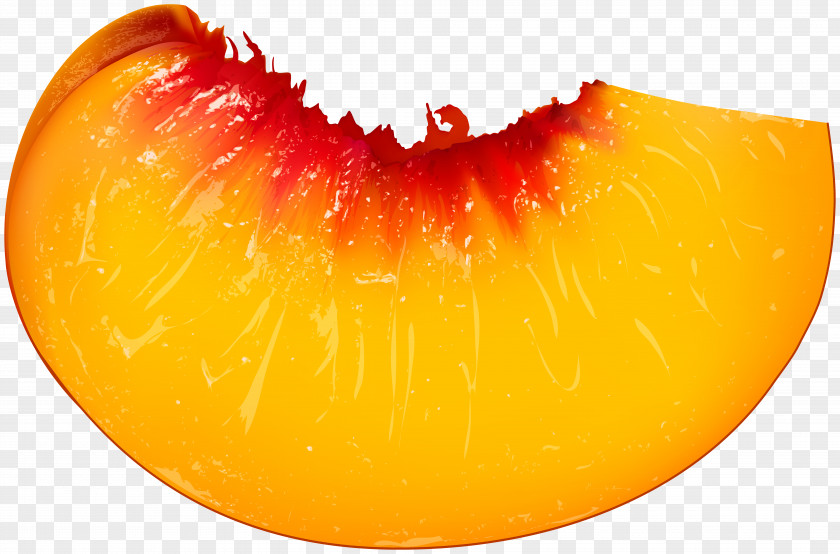 Orange PNG