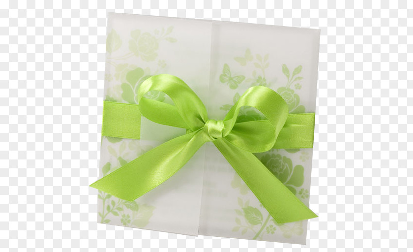 Schleife Green White Black Color Ribbon PNG