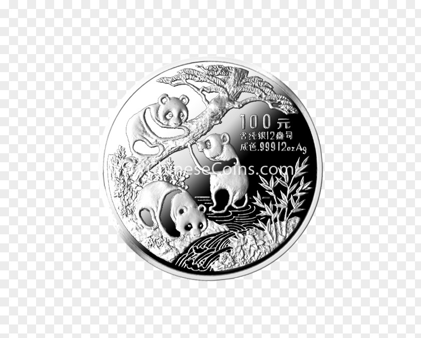 Silver Coin PNG