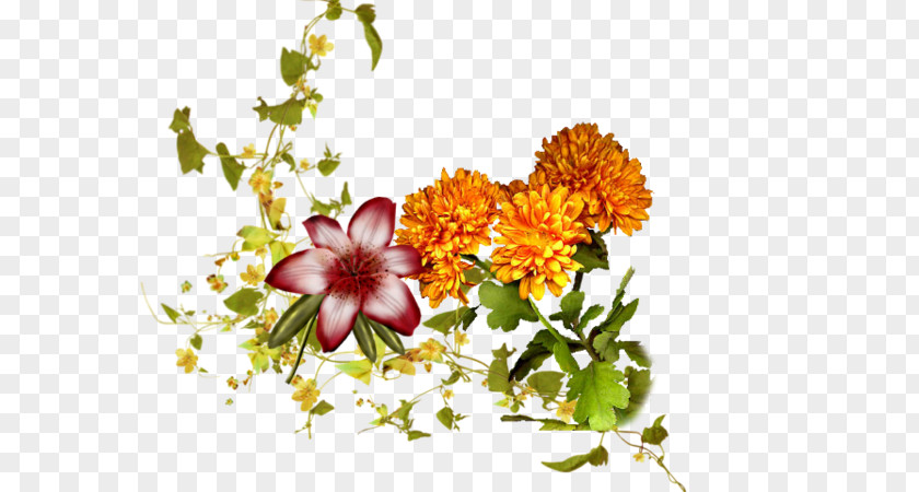 Tampon Amour Floral Design Cut Flowers Saint PNG