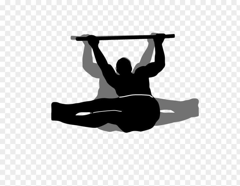 Abdomen Calisthenics Crus Physical Fitness Shoulder PNG