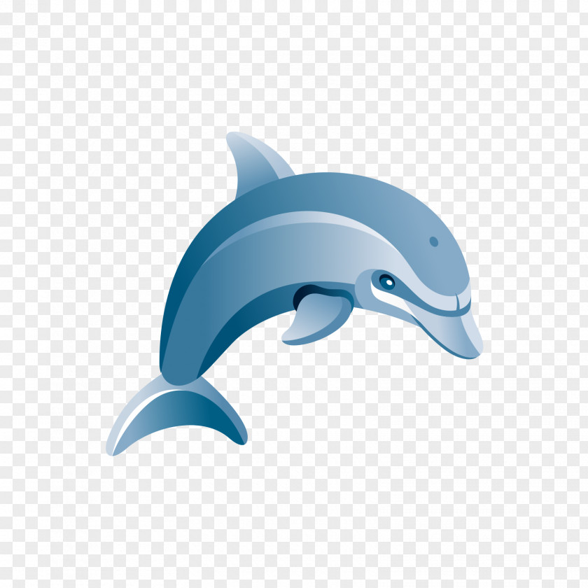 Blue Dolphins Common Bottlenose Dolphin Tucuxi Illustration PNG