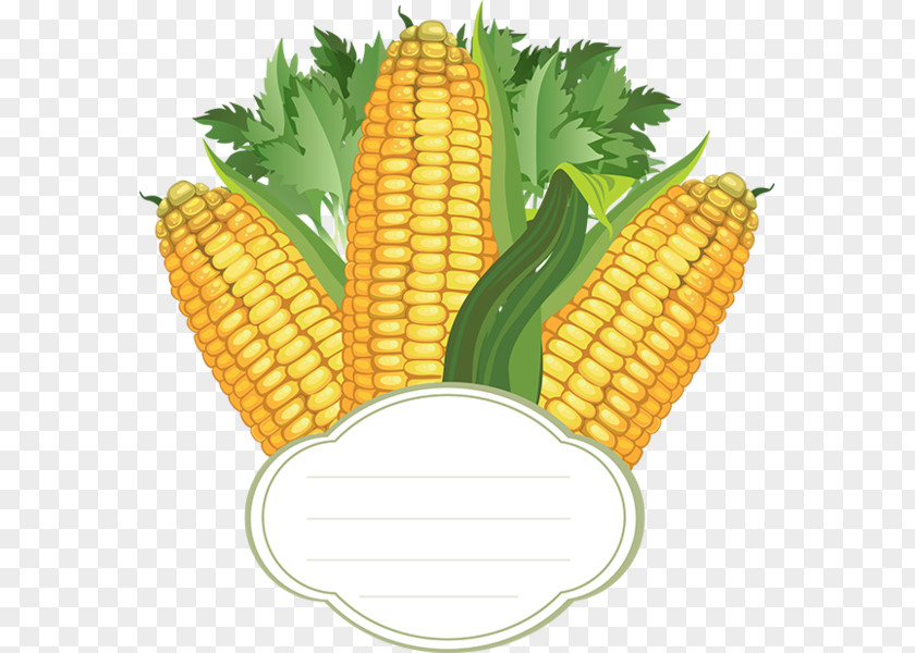 Corn On The Cob Maize PNG