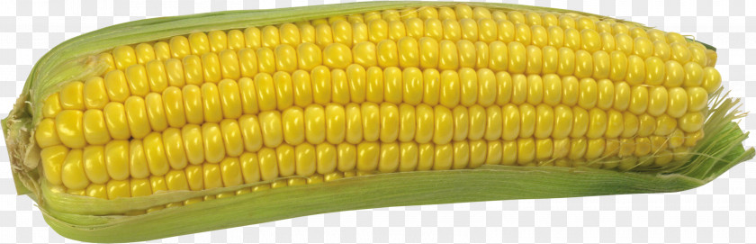Fresh Corn Maize Download Clip Art PNG