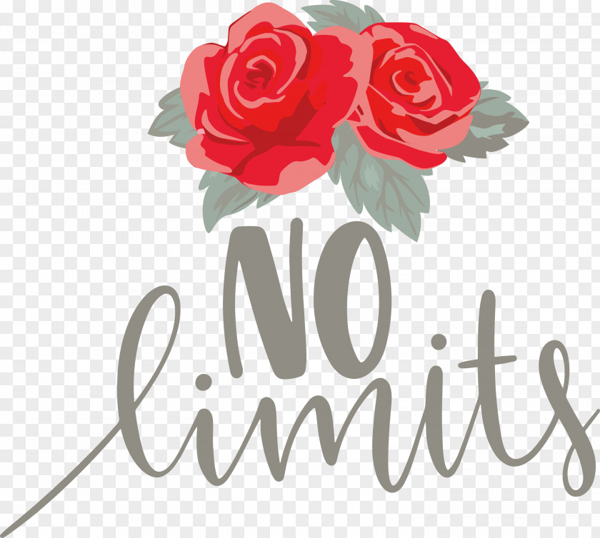 No Limits Dream Future PNG