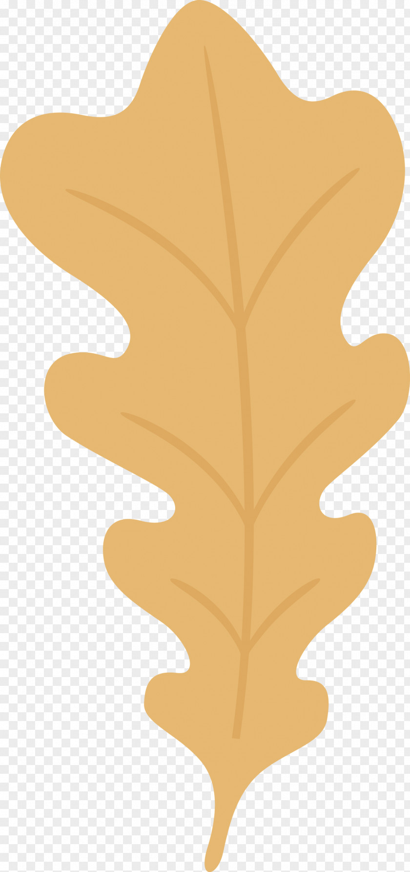 Oak Leaf PNG