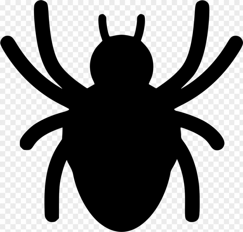 Spider Clip Art Web Insect PNG