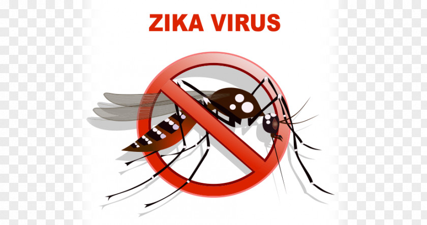Zika Virus Yellow Fever Mosquito Dengue Transmission PNG