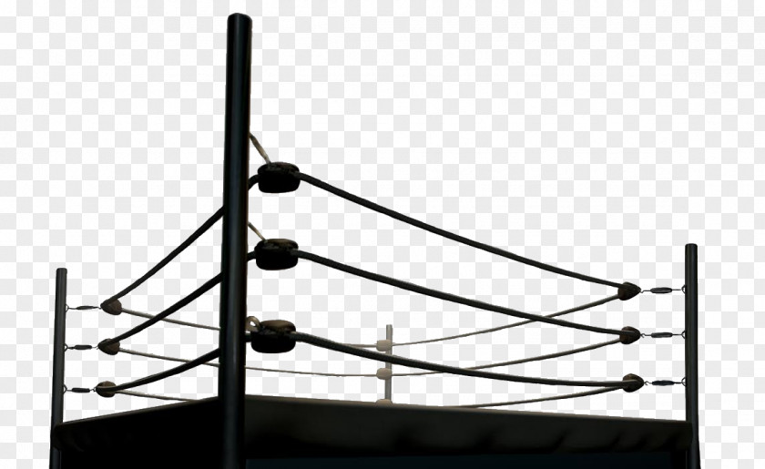 Boxing Rings Kickboxing Sport Combat PNG