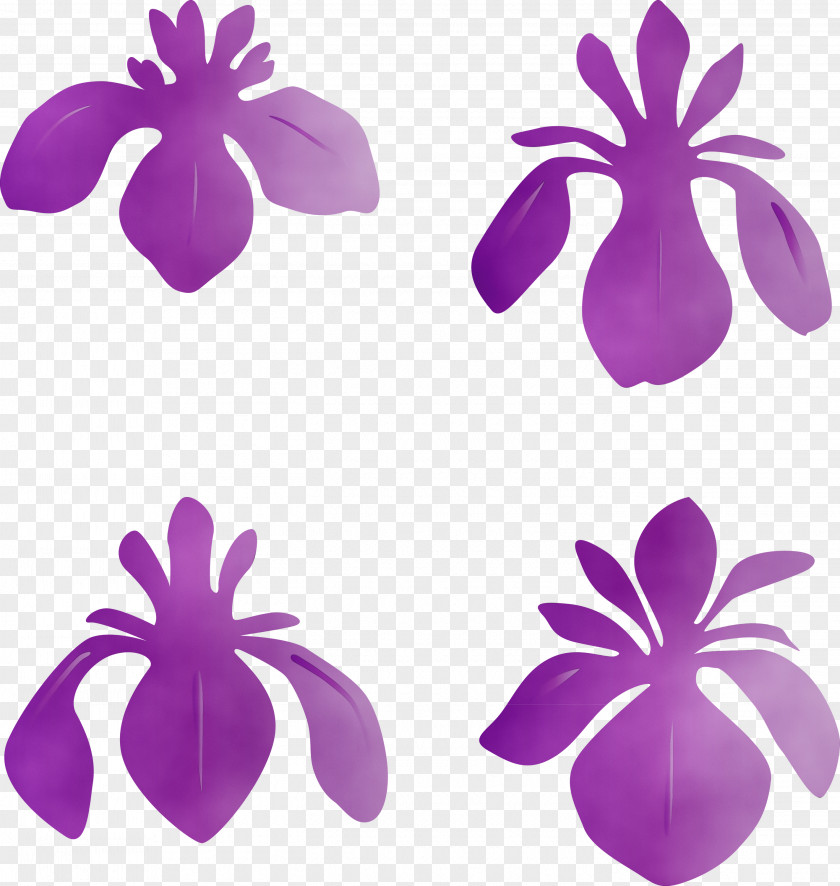 Purple Petal Violet Plant Flower PNG