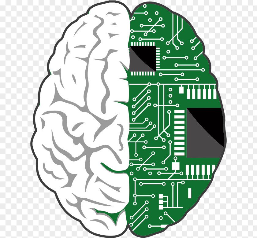 Brain Brain–computer Interface Human PNG