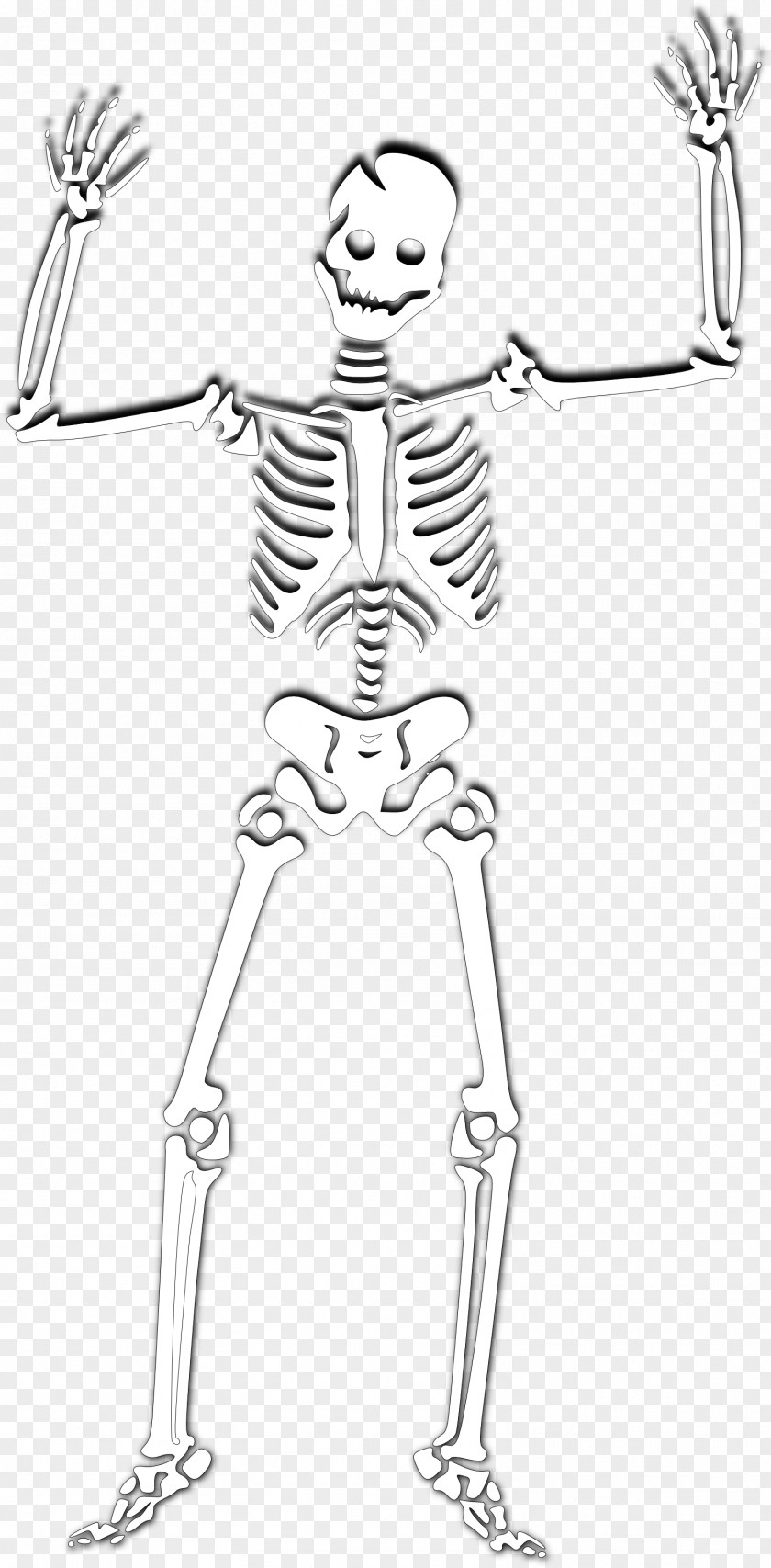 Halloween Skeleton Photos Human Skull Clip Art PNG