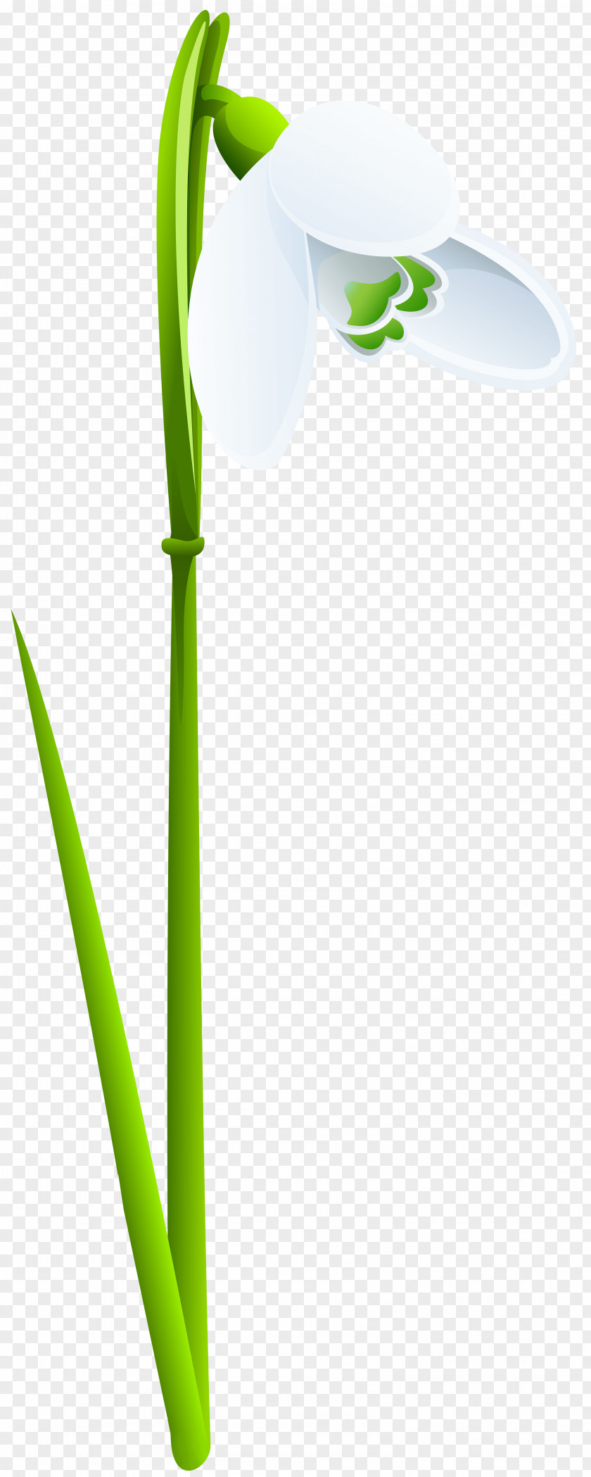 Microphone Stand Snowdrop Desktop Wallpaper Clip Art PNG