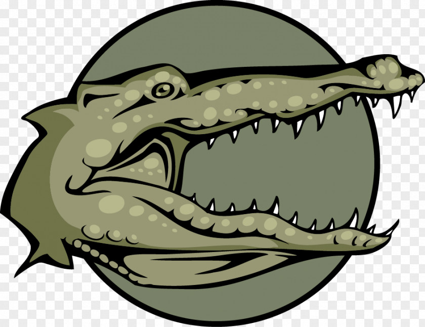 Vector Crocodile Alligator Drawing Illustration PNG