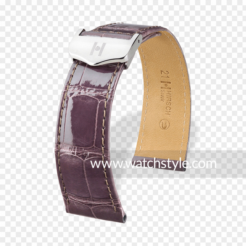 Watch Strap Bracelet Buckle PNG