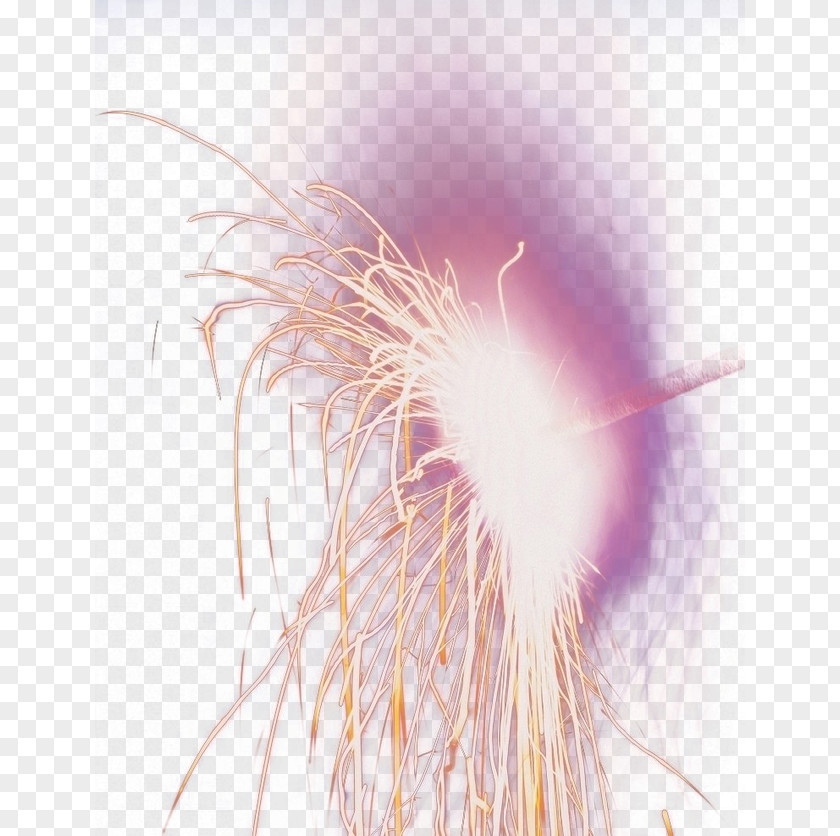 Fireworks Close-up Feather Computer Wallpaper PNG