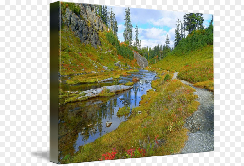 Painting Nature Reserve Water Resources River Mount Scenery Stream PNG