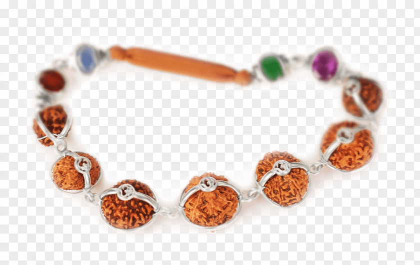 Rudraksha Association Of The Living Rosary Bead Bracelet Indulgence PNG