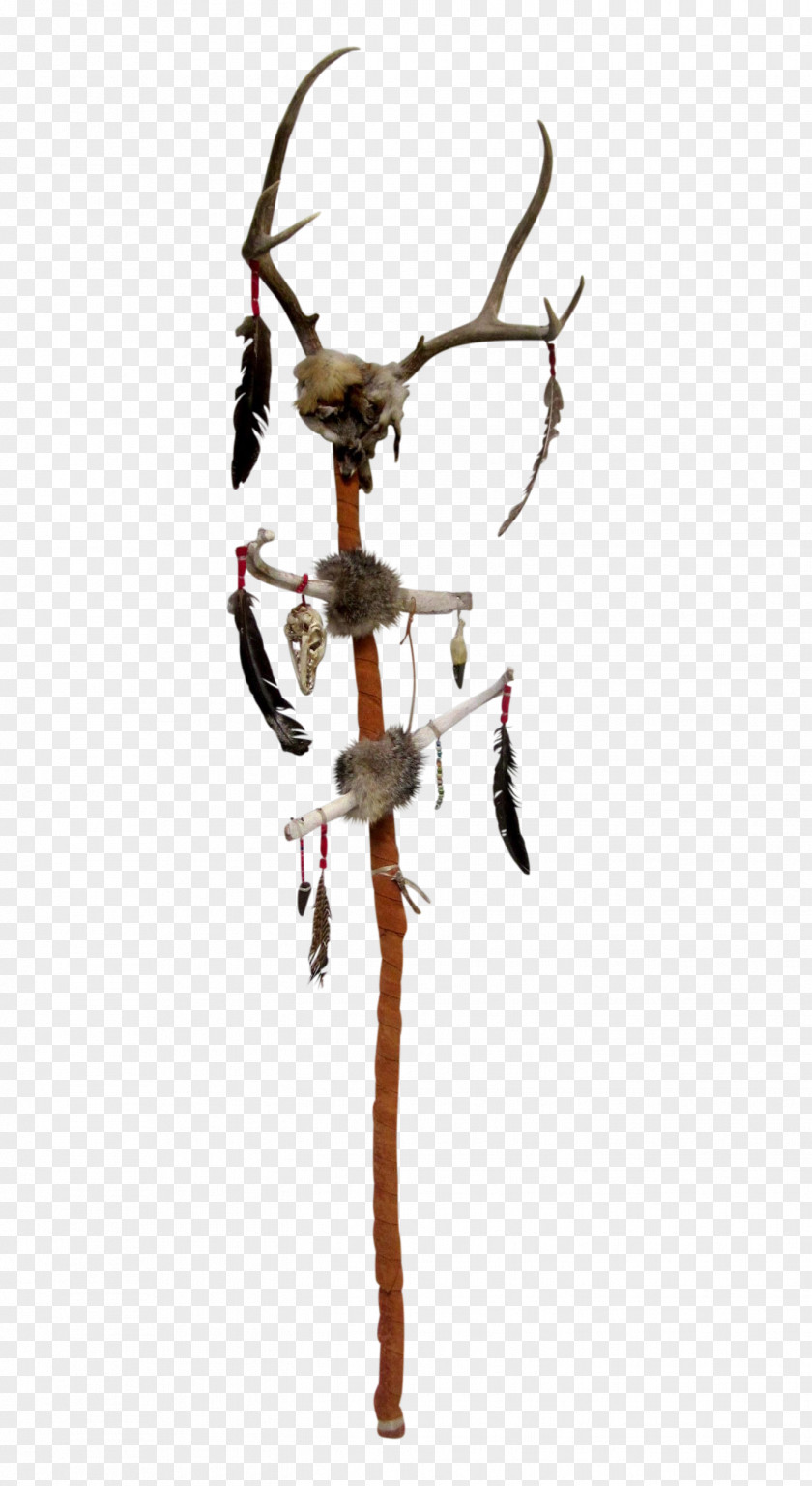 Walking Stick Native Americans In The United States Bastone PNG