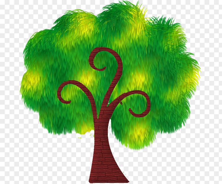 Cartoon Tree Drawing Illustration PNG