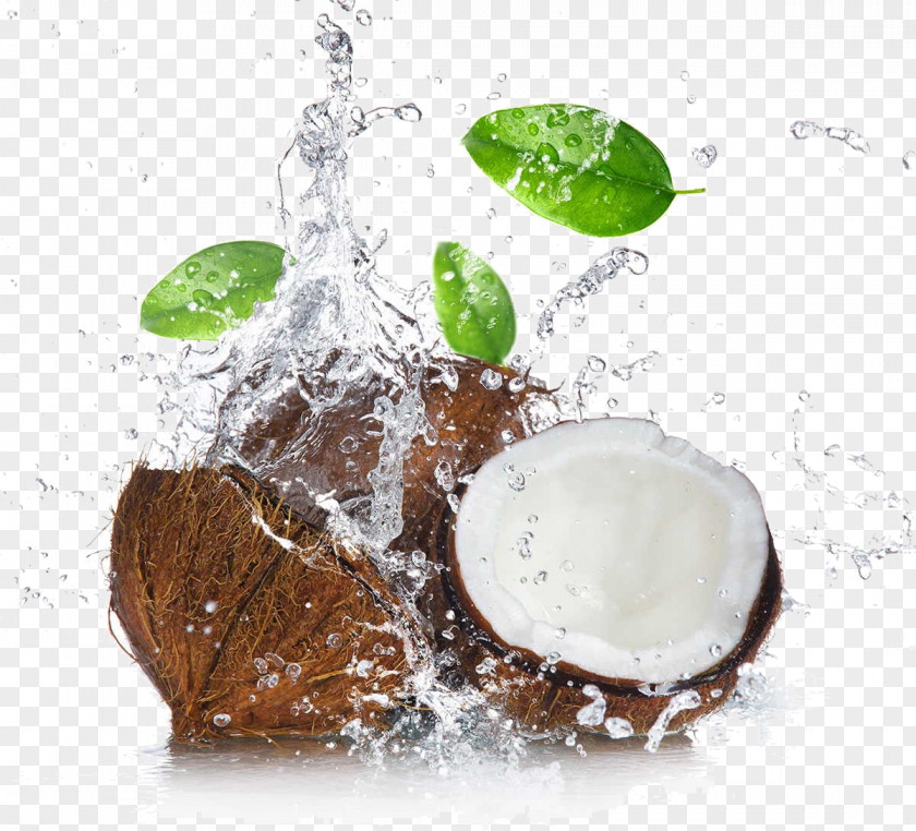 Coconut Water Milk Oil Cocoa Bean PNG